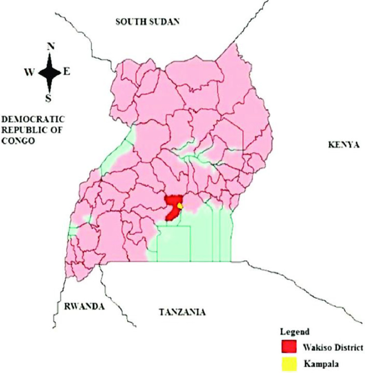 Diagnostic pattern of mental, neurological and substance use disorders at primary health care facilities in Uganda.