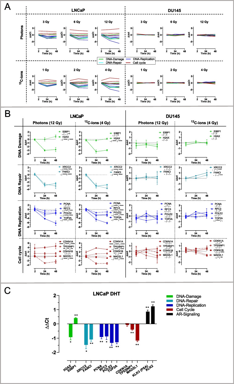 Transcriptomic response of prostate cancer cells to carbon ion and photon irradiation with focus on androgen receptor and TP53 signaling.
