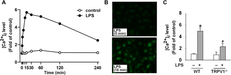 Transient receptor potential vanilloid 1 interacts with Toll-like receptor 4 (TLR4)/cluster of differentiation 14 (CD14) signaling pathway in lipopolysaccharide-mediated inflammation in macrophages.