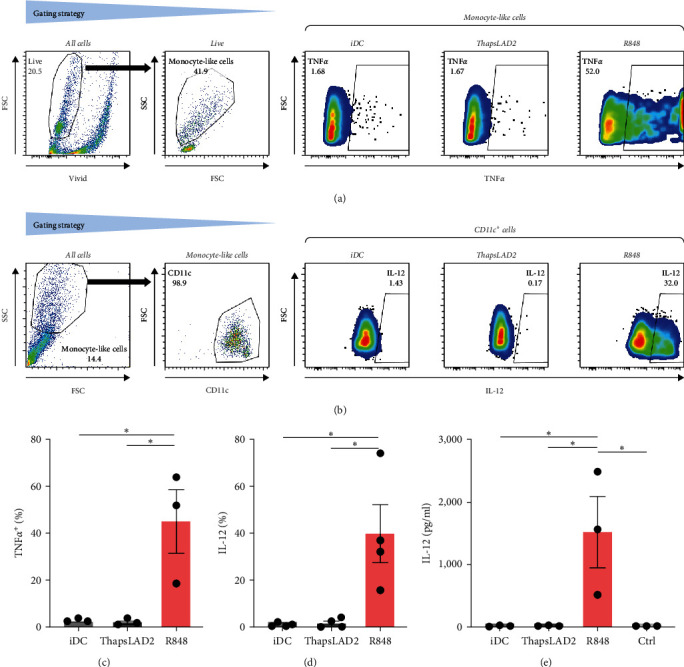 Impaired Proliferation of CD8<sup>+</sup> T Cells Stimulated with Monocyte-Derived Dendritic Cells Previously Matured with Thapsigargin-Stimulated LAD2 Human Mast Cells.