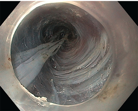 Abstract Image