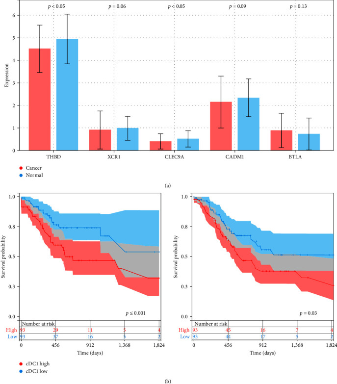 Characterizing the Tumor Microenvironment and Its Correlation with cDC1-Related Gene Expression in Gastric Cancer.