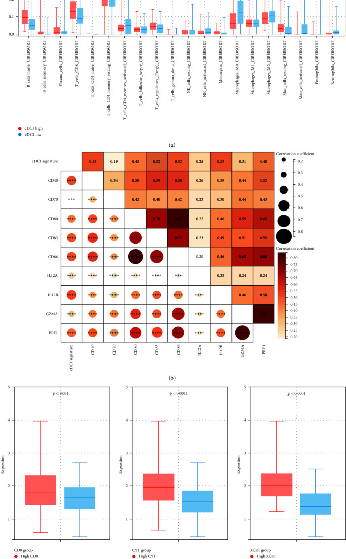Characterizing the Tumor Microenvironment and Its Correlation with cDC1-Related Gene Expression in Gastric Cancer.