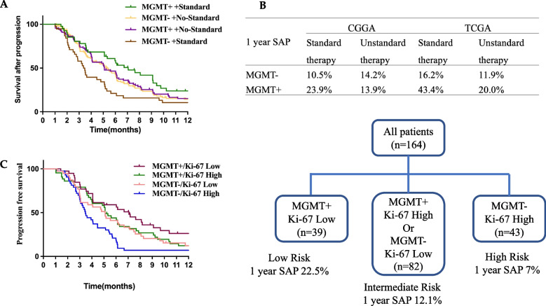 MGMT promoter methylation is a strong prognostic factor for survival after progression in high-grade gliomas.