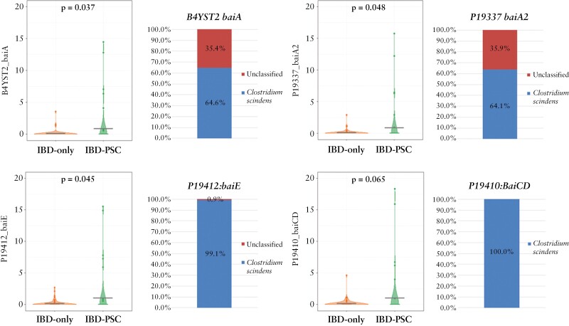 Inflammatory bowel disease associated with primary sclerosing cholangitis is associated with an altered gut microbiome and bile acid profile.