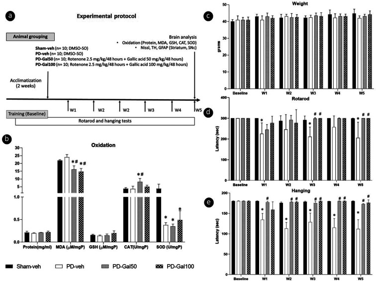 Neuroprotective effect of gallic acid in mice with rotenone-induced neurodegeneration.