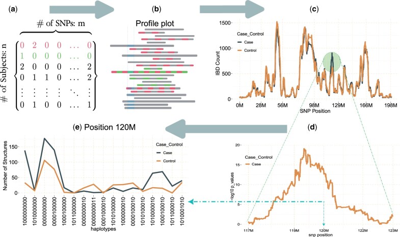 gwid: an R package and Shiny application for Genome-Wide analysis of IBD data.
