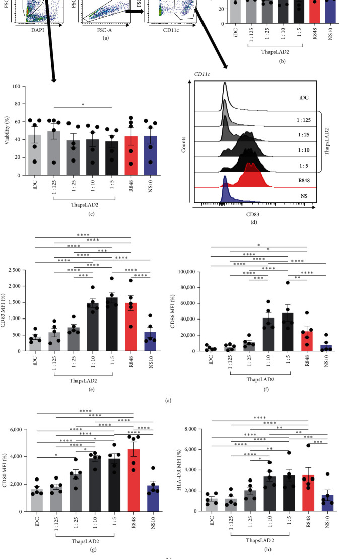 Impaired Proliferation of CD8<sup>+</sup> T Cells Stimulated with Monocyte-Derived Dendritic Cells Previously Matured with Thapsigargin-Stimulated LAD2 Human Mast Cells.