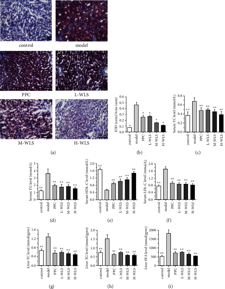 Wulingsan Alleviates MAFLD by Activating Autophagy via Regulating the AMPK/mTOR/ULK1 Signaling Pathway.