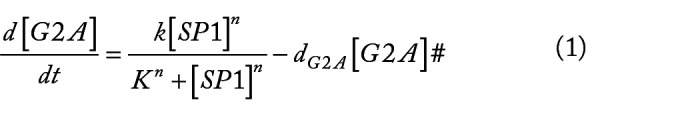 Abstract Image