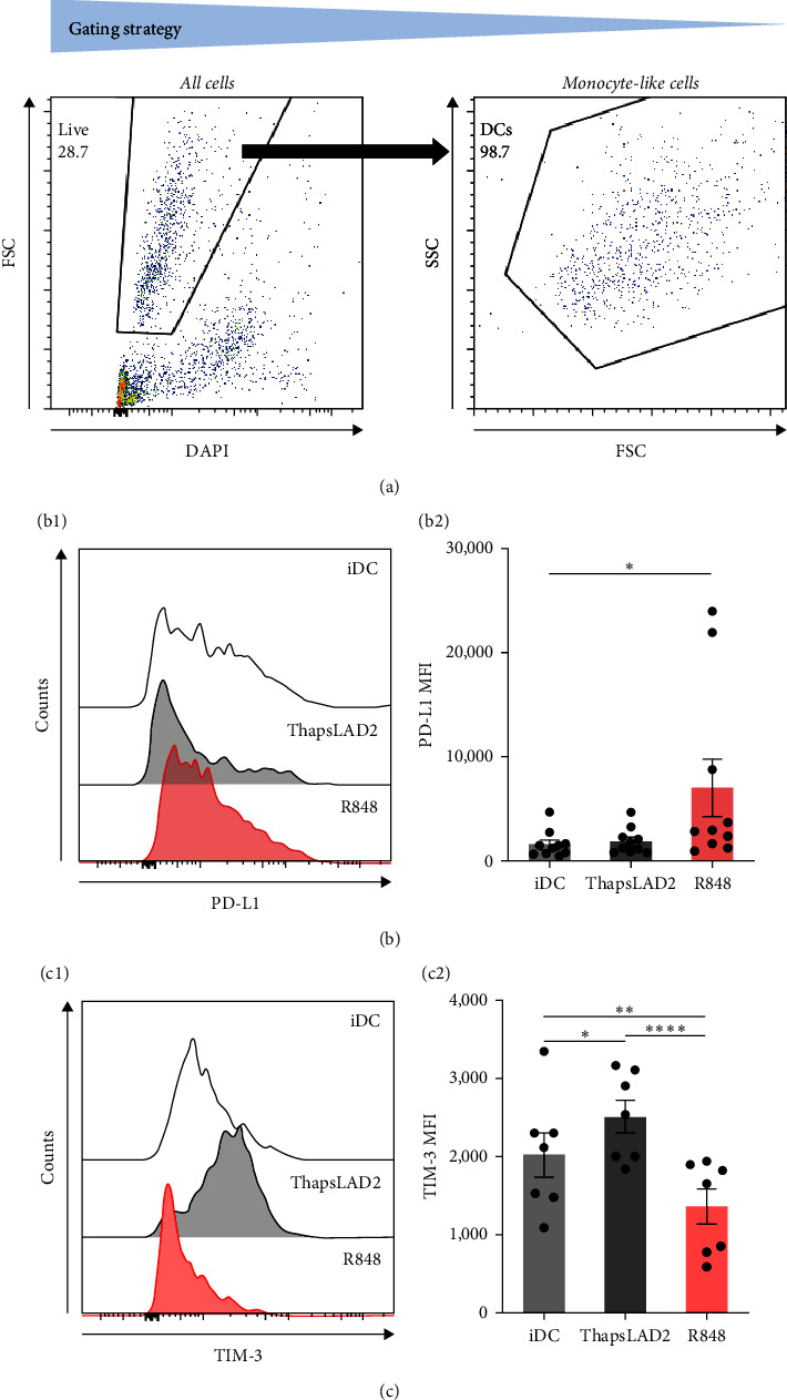 Impaired Proliferation of CD8<sup>+</sup> T Cells Stimulated with Monocyte-Derived Dendritic Cells Previously Matured with Thapsigargin-Stimulated LAD2 Human Mast Cells.