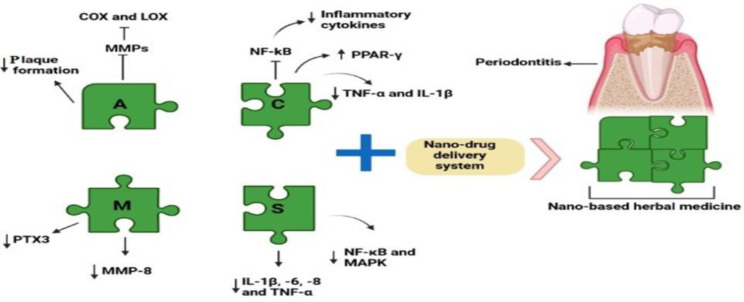 Herbal and nano-based herbal medicine: New insights into their therapeutic aspects against periodontitis.