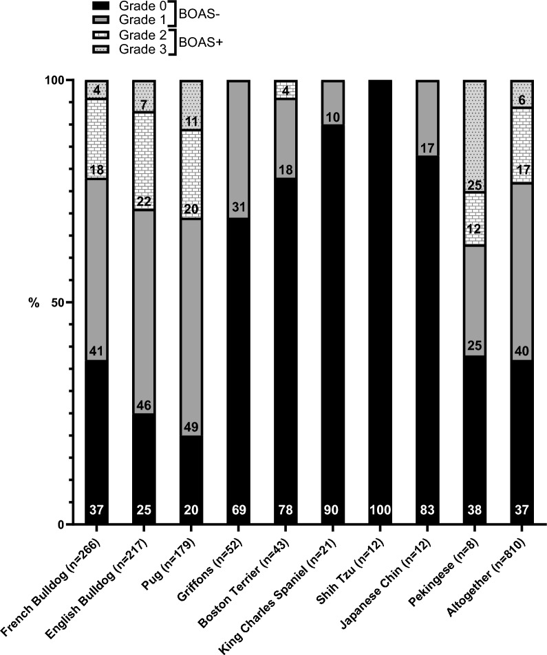 Evaluation of brachycephalic obstructive airway syndrome breeding test results in Finland from 2017 to 2022.