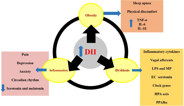 The association of dietary inflammatory index with sleep outcomes: A systematic review.