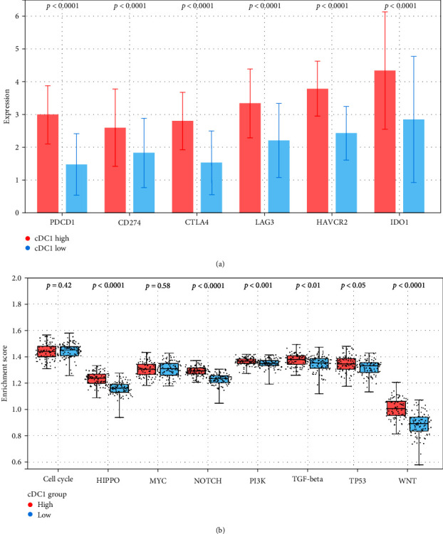 Characterizing the Tumor Microenvironment and Its Correlation with cDC1-Related Gene Expression in Gastric Cancer.