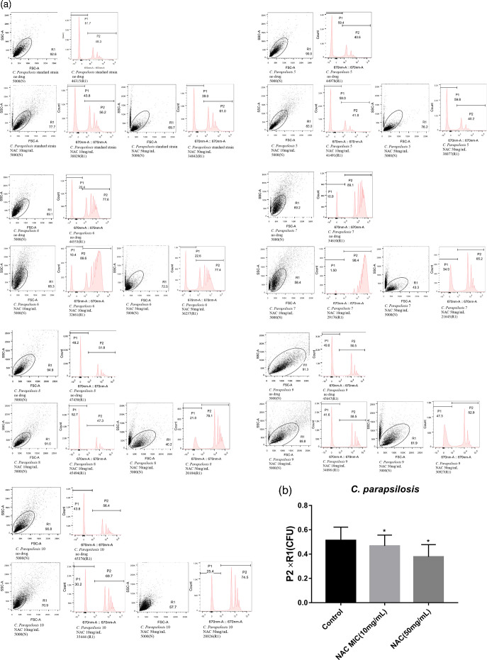 The role of <i>N-</i>acetylcysteine on adhesion and biofilm formation of <i>Candida parapsilosis</i> isolated from catheter-related candidemia.