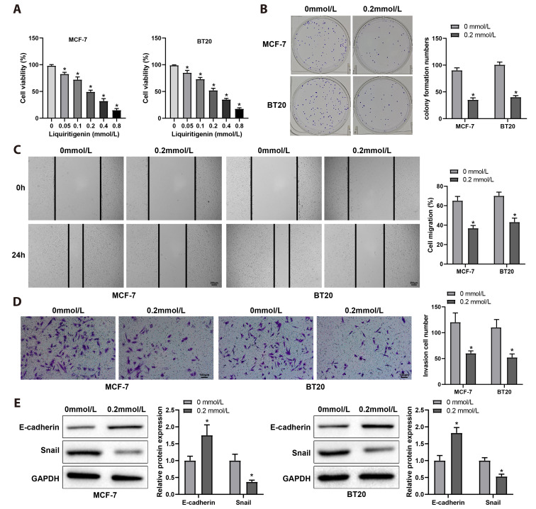 Polygonatum sibiricum component liquiritigenin restrains breast cancer cell invasion and migration by inhibiting HSP90 and chaperone-mediated autophagy.