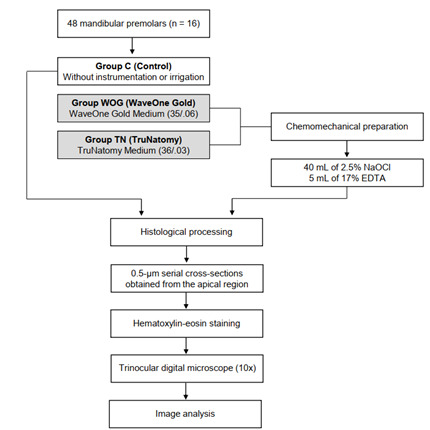 Debridement ability of the WaveOne Gold and TruNatomy systems in the apical third of root canals: ex vivo assessment.