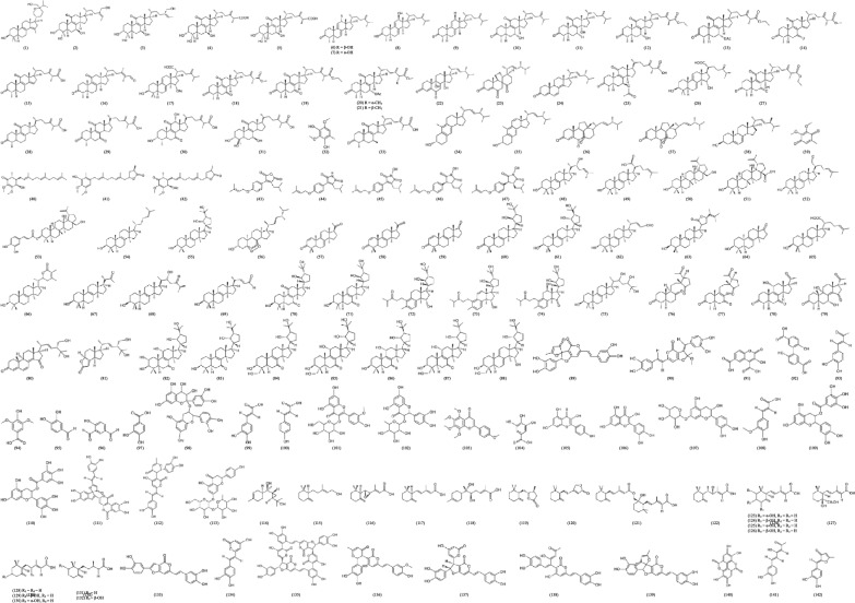 Abstract Image
