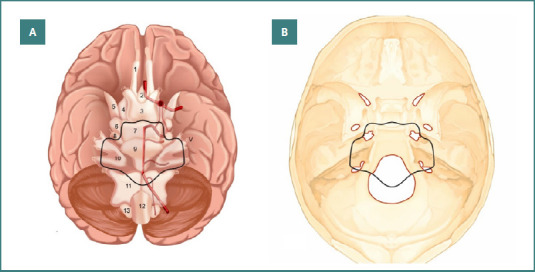 The impact of arachnoid structures on skull-base meningioma surgical management: a radiological analysis and narrative review.