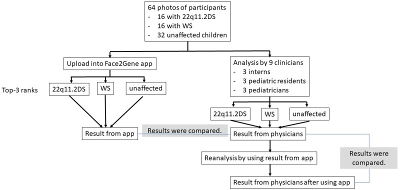 Comparison of the Accuracy in Provisional Diagnosis of 22q11.2 Deletion and Williams Syndromes by Facial Photos in Thai Population Between De-Identified Facial Program and Clinicians.