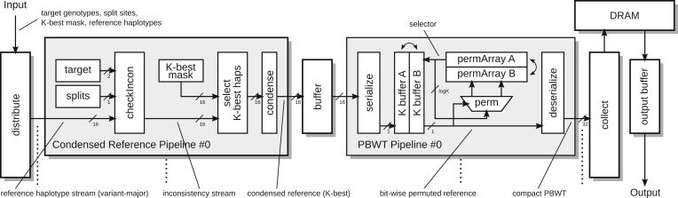 Introducing field-programmable gate arrays in genotype phasing and imputation.
