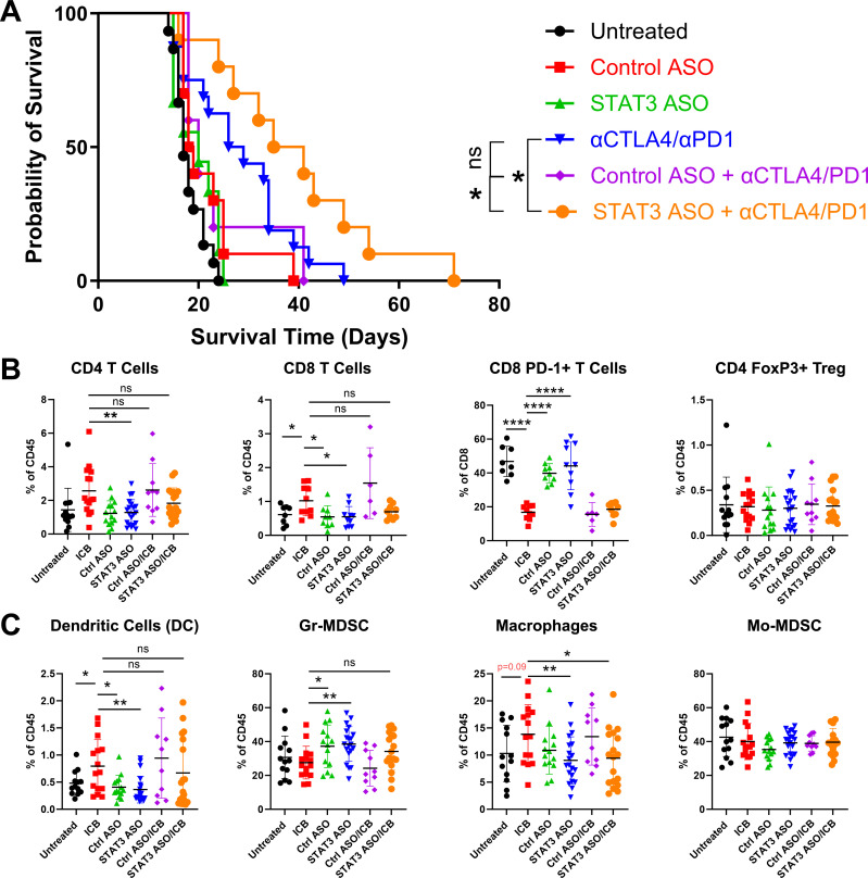 Preclinical study and parallel phase II trial evaluating antisense STAT3 oligonucleotide and checkpoint blockade for advanced pancreatic, non-small cell lung cancer and mismatch repair-deficient colorectal cancer.