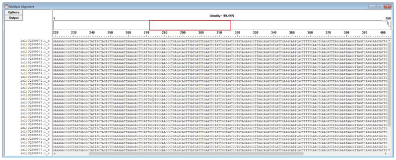 To evaluate the performance of simultaneous amplification and testing assay for group B Streptococcus detection: comparison with real-time PCR and ddPCR assays.