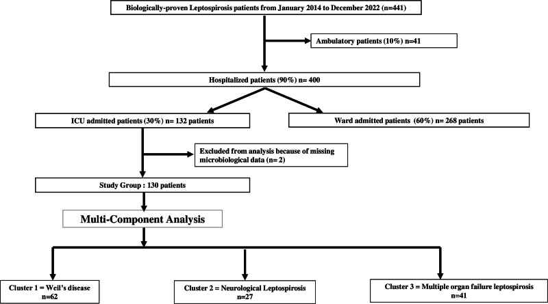 Organ Involvement Related to Death in Critically Ill Patients With Leptospirosis: Unsupervised Analysis in a French West Indies ICU.