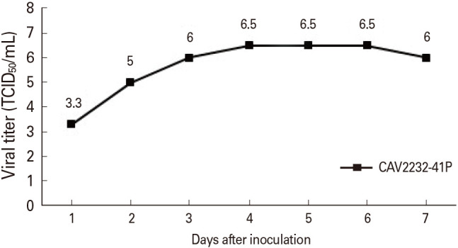 Immunogenicity of a novel inactivated canine adenovirus type 2 variant vaccine for dogs.
