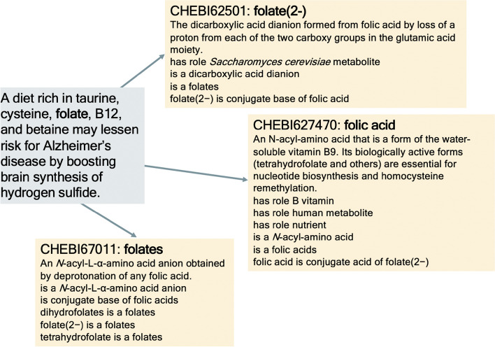 Chemical entity normalization for successful translational development of Alzheimer's disease and dementia therapeutics.