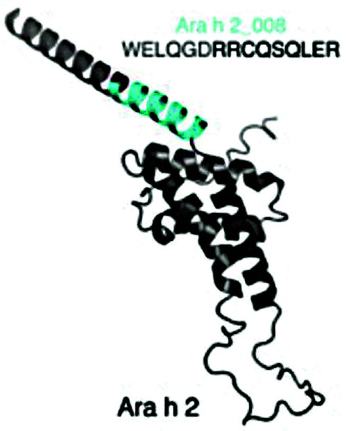 Abstract Image