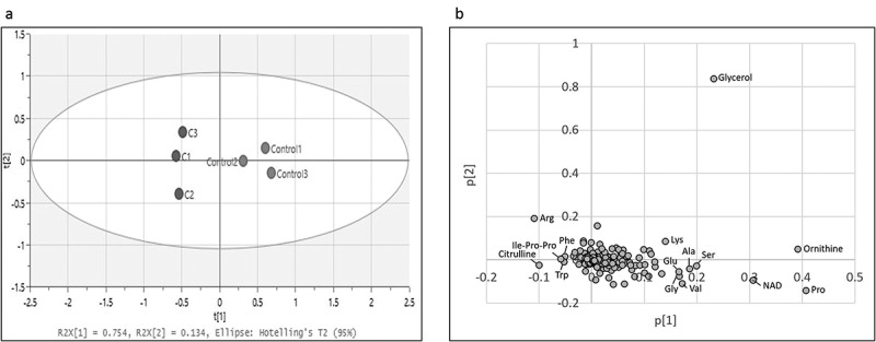 Curcumin inhibits growth of <i>Porphyromonas gingivalis</i> by arrest of bacterial dipeptidyl peptidase activity.