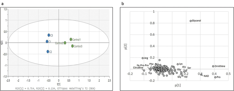 Curcumin inhibits growth of <i>Porphyromonas gingivalis</i> by arrest of bacterial dipeptidyl peptidase activity.