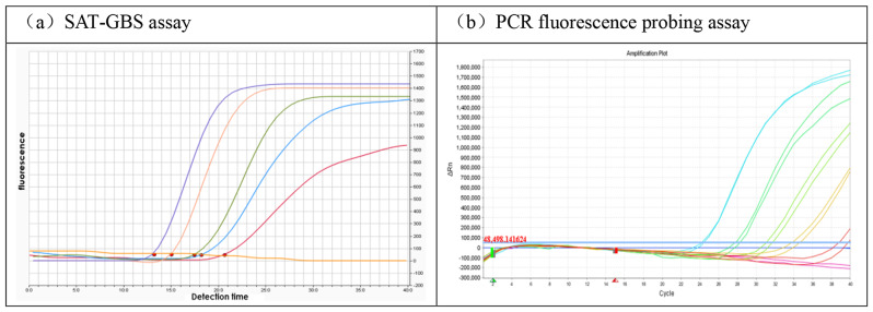 To evaluate the performance of simultaneous amplification and testing assay for group B Streptococcus detection: comparison with real-time PCR and ddPCR assays.