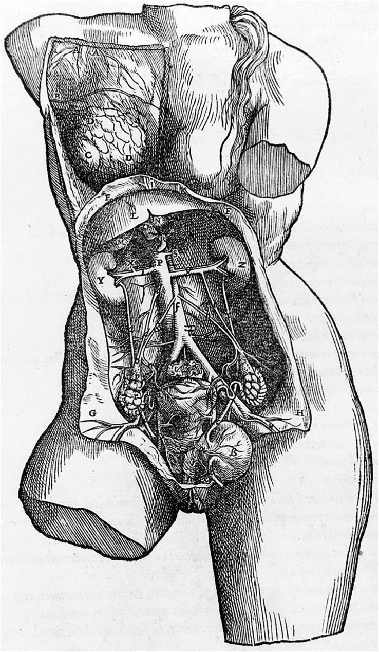 Nephrology and experimental medicine in vivo, in vitro, and in silico.