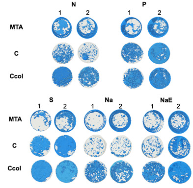 Effects of blood and root-dentin cleaning on the porosity and bond strength of a collagen bioceramic material.