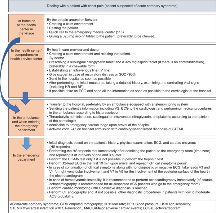 Development of the first Iranian clinical practice guidelines for the diagnosis, treatment, and secondary prevention of acute coronary syndrome.