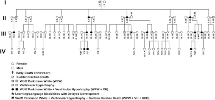 PRKAG2 syndrome, a rare hypertrophic cardiomyopathy: a Brazilian long-term follow-up with extracardiac disorders.