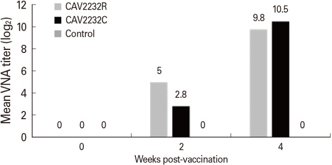 Immunogenicity of a novel inactivated canine adenovirus type 2 variant vaccine for dogs.