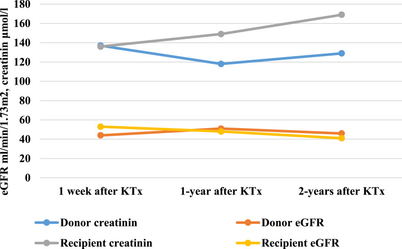 Individualized Decision-Making and Outcomes for the 87-Year-Old Living Kidney Donor: A Case Report.