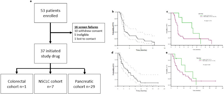 Preclinical study and parallel phase II trial evaluating antisense STAT3 oligonucleotide and checkpoint blockade for advanced pancreatic, non-small cell lung cancer and mismatch repair-deficient colorectal cancer.
