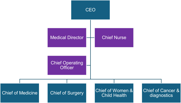 Life as a chief of medicine-Taking future hospital guidance to the front line.