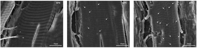 Effects of Sous-vide Cooking Temperature on <i>Triceps Brachii</i> of Black Goats.