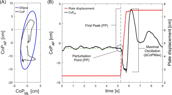 Multimodal training protocols on unstable rather than stable surfaces better improve dynamic balance ability in older adults.
