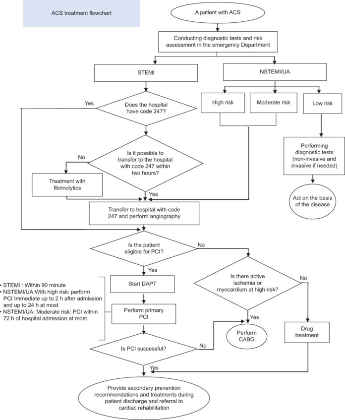 Development of the first Iranian clinical practice guidelines for the diagnosis, treatment, and secondary prevention of acute coronary syndrome.