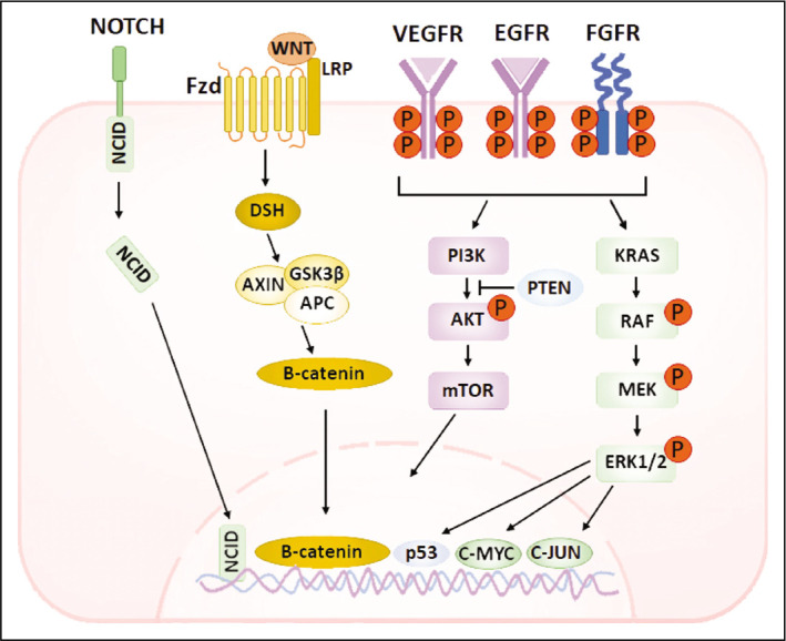 Cross talk between genetics and biochemistry in the pathogenesis of hepatocellular carcinoma.