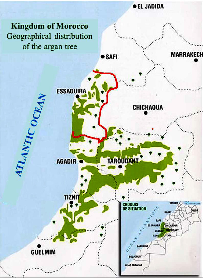 Ethnopharmacological Knowledge and Antioxidant Propensities of <i>Argania spinosa</i> L. from Morocco.