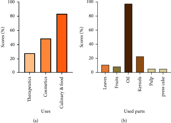 Ethnopharmacological Knowledge and Antioxidant Propensities of <i>Argania spinosa</i> L. from Morocco.