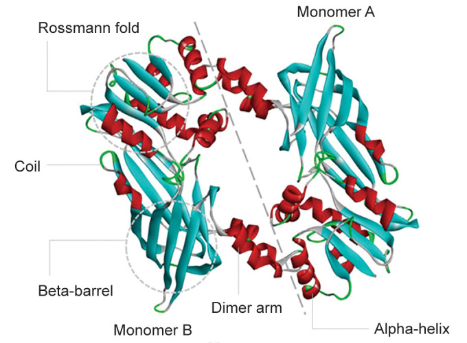 Molecular Characterization and Potential Inhibitors Prediction of Protein Arginine Methyltransferase-2 in Carcinoma: An Insight from Molecular Docking, ADMET Profiling and Molecular Dynamics Simulation Studies.